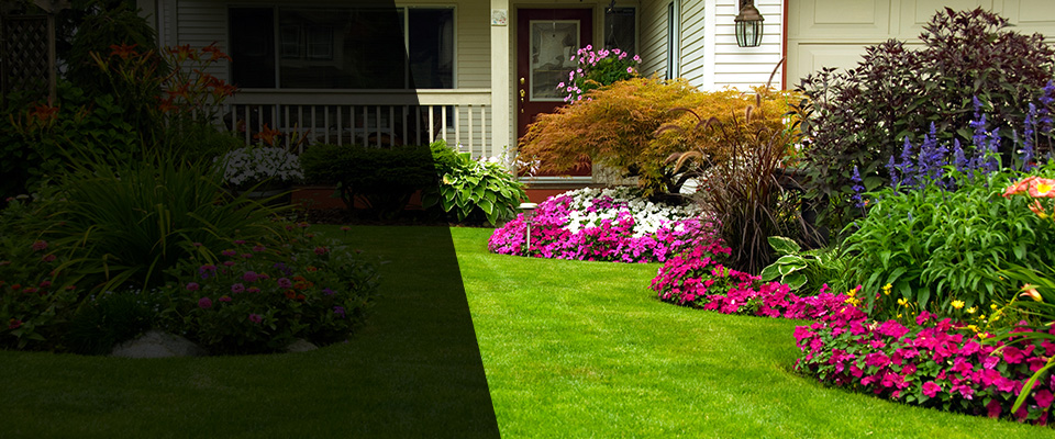 Lenexa Landscapers